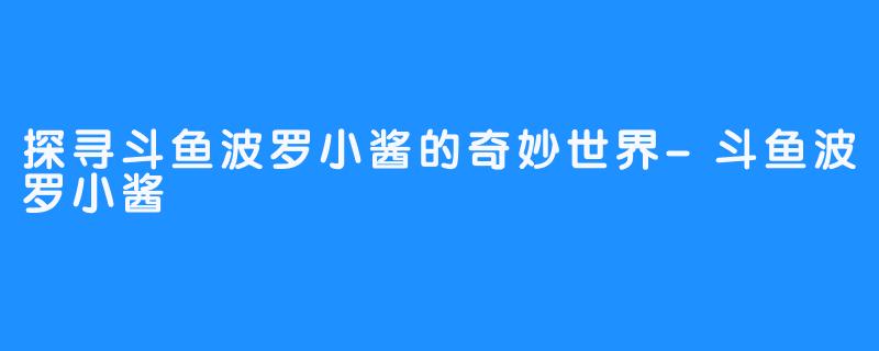 探寻斗鱼波罗小酱的奇妙世界-斗鱼波罗小酱