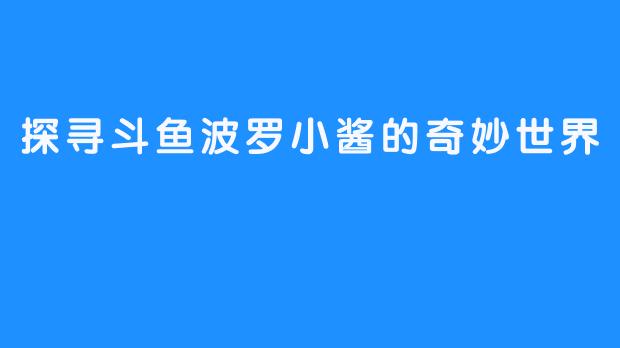 探寻斗鱼波罗小酱的奇妙世界