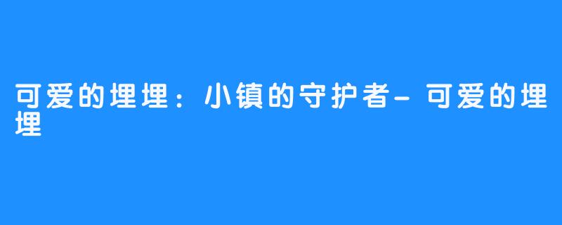 可爱的埋埋：小镇的守护者-可爱的埋埋