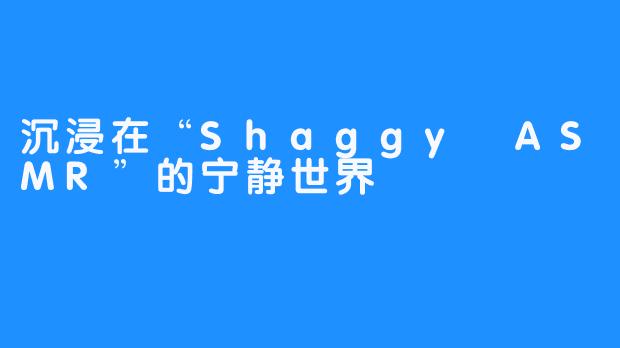 沉浸在“Shaggy ASMR”的宁静世界