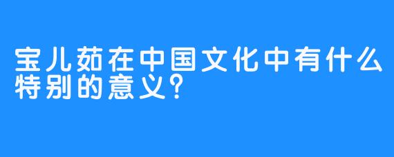 宝儿茹在中国文化中有什么特别的意义？