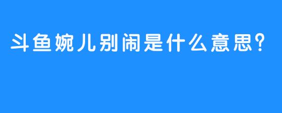 斗鱼婉儿别闹是什么意思？