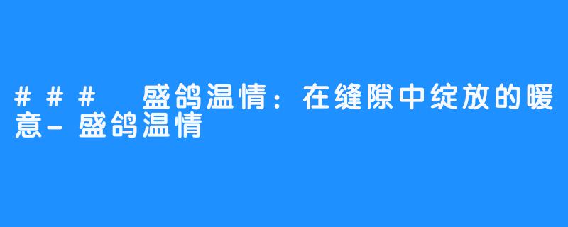 ### 盛鸽温情：在缝隙中绽放的暖意-盛鸽温情