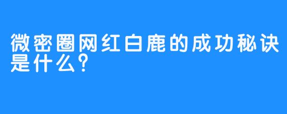 微密圈网红白鹿的成功秘诀是什么？