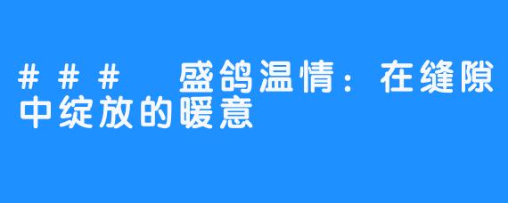 ### 盛鸽温情：在缝隙中绽放的暖意