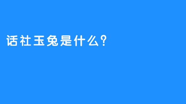 话社玉兔是什么？